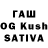 ГАШИШ hashish POLITIC TIME